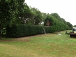 hedge cutting leeds