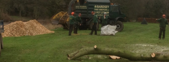 tree contractors